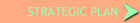 Strategic Plan