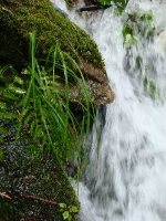 Hydro System