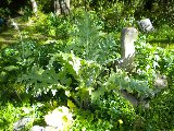 Recharge - Organic HERB & HEALTH Tour